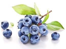 Neuro Serge Ingredient6