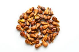 Neuro Serge Ingredient5